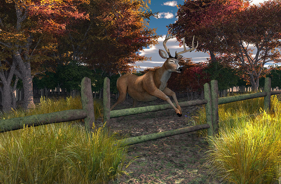 Buck Jumping Digital Art by Mary Almond