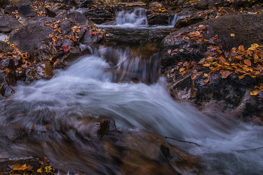 Buck Mountain Creek Photograph by Joe Kopp