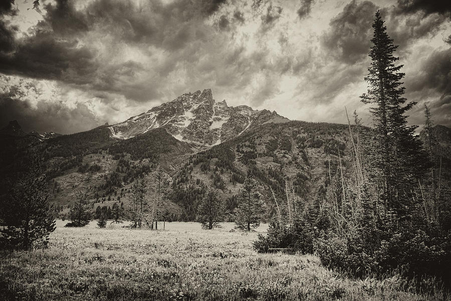 Buck Mountain Photograph by Hugh Smith