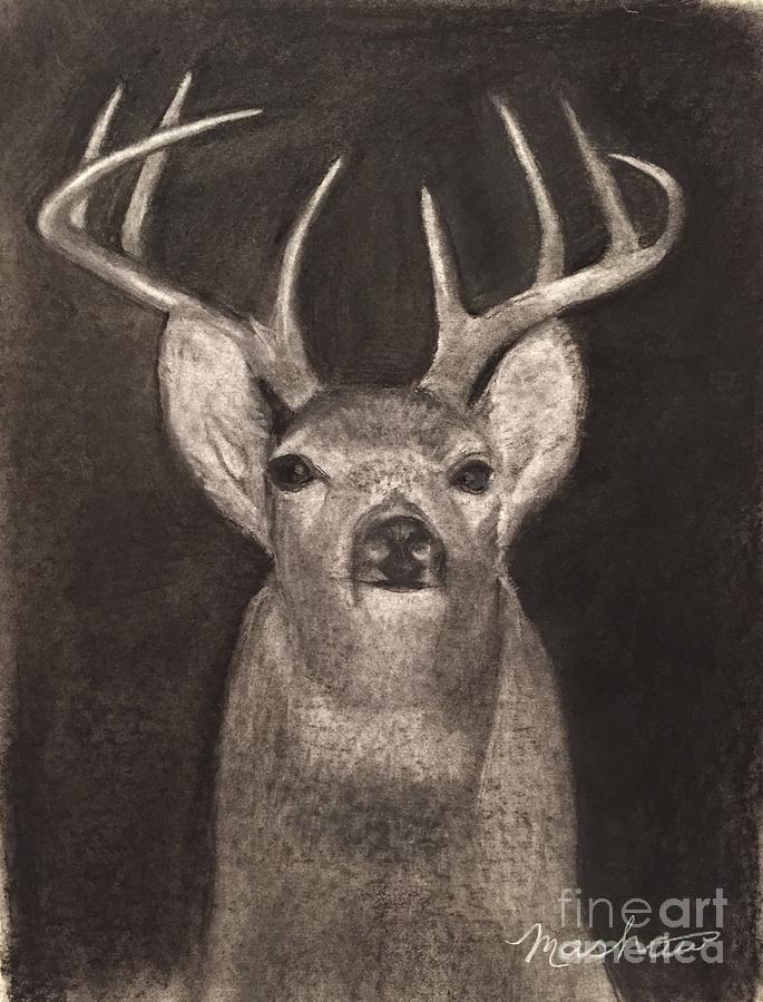 Buck Painting by Sheila Mashaw
