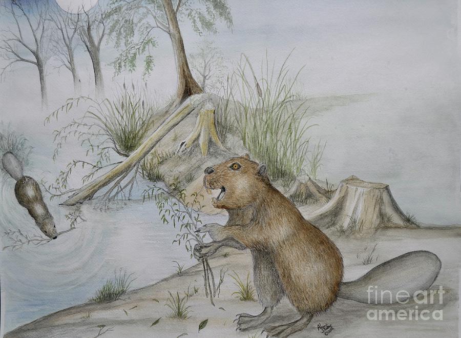 Buck The Beaver Painting By Alan Shafer - Fine Art America