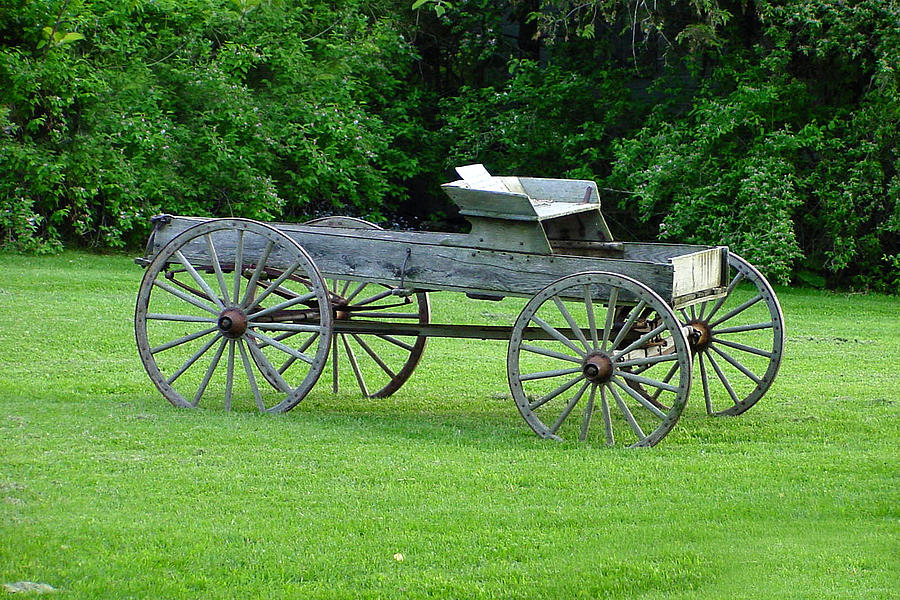 Buckboard Photograph by Dave Clark