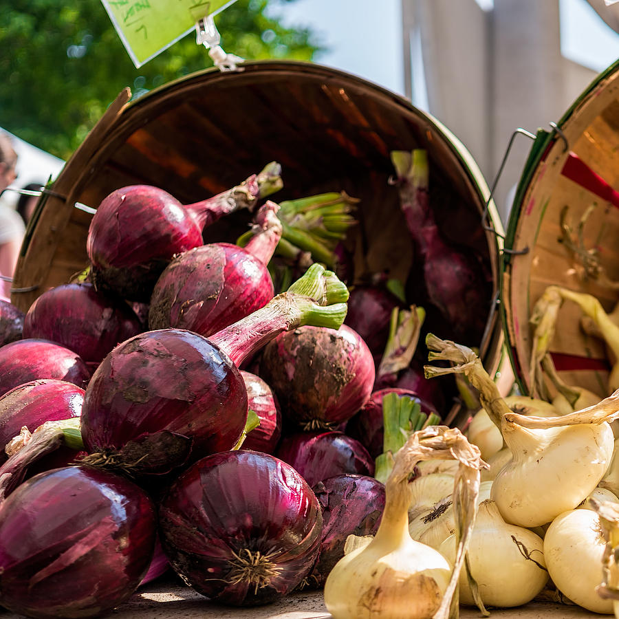 Bucket of Onions Photograph by Nisah Cheatham