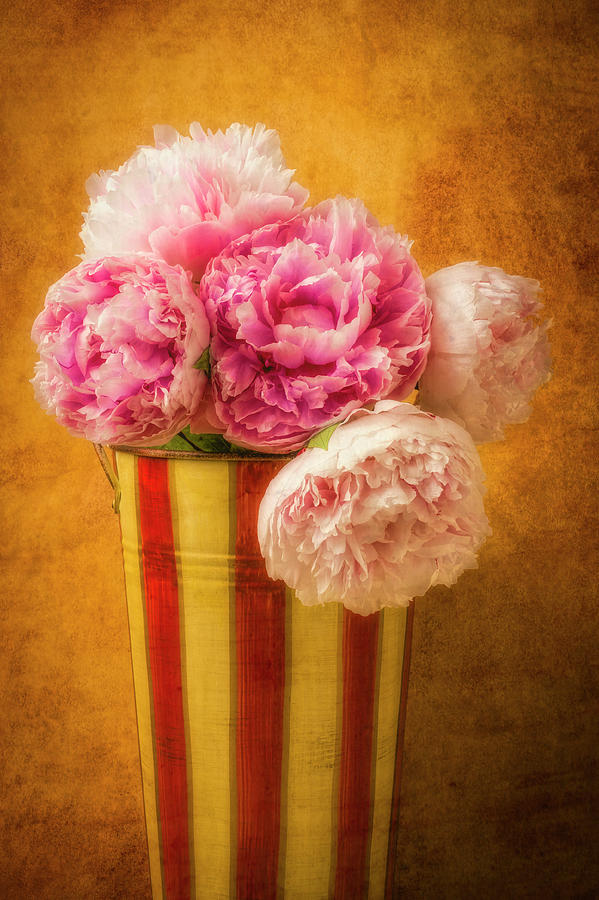 Bucket of Peonies Photograph by Garry Gay