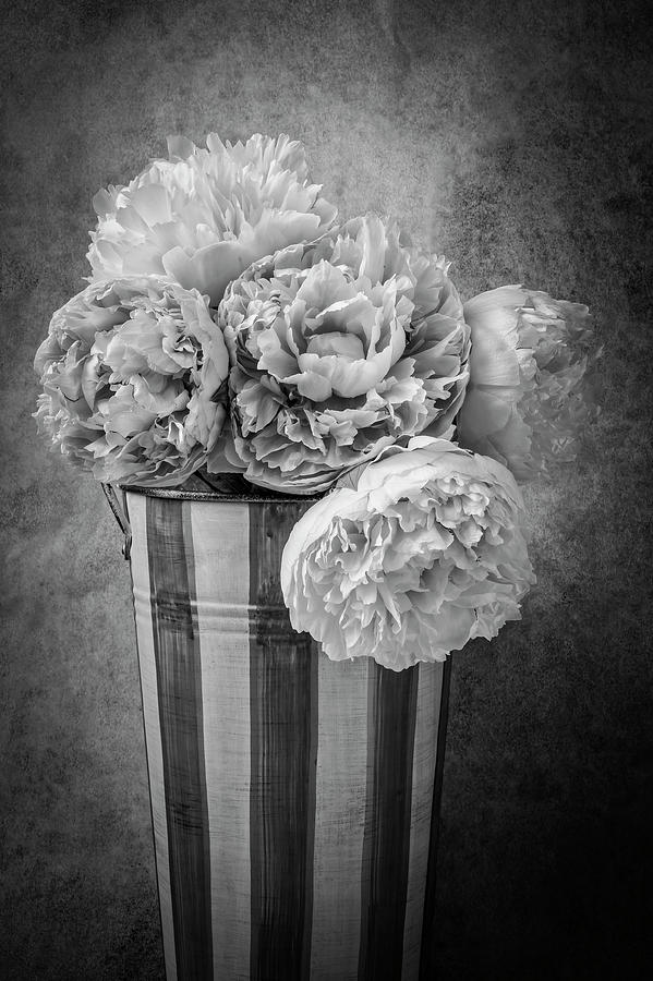 Bucket of Peonies In Black And White Photograph by Garry Gay