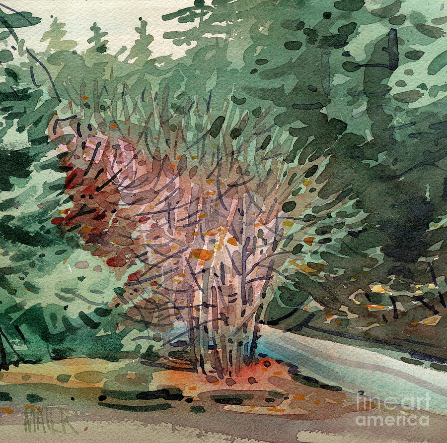 Tree Painting - Buckeye and Redwoods by Donald Maier