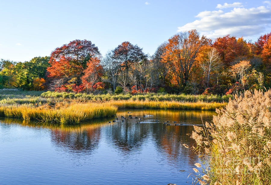 Buckeye Brook - Fall 2 Photograph by Lisa Kilby