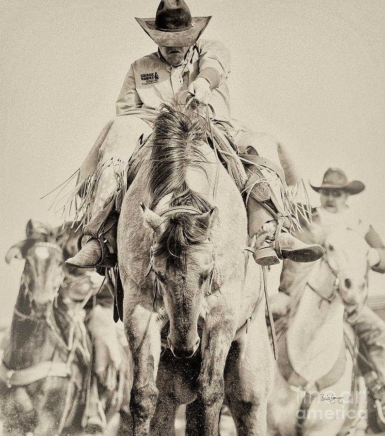 Buckin' Him Out Photograph by Barb Young | Fine Art America