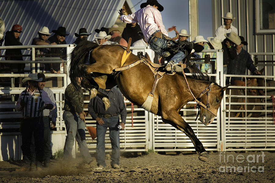 Boot Photograph - Bucking Bronco 1 by Timothy Hacker