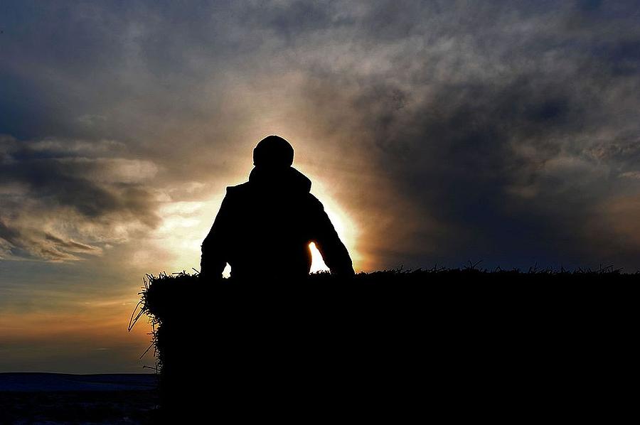 Bucking Hay at Sunrise Photograph by Amanda Smith