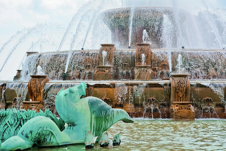 Buckingham Fountain Chicago Seahorse Photograph by Kyle Hanson