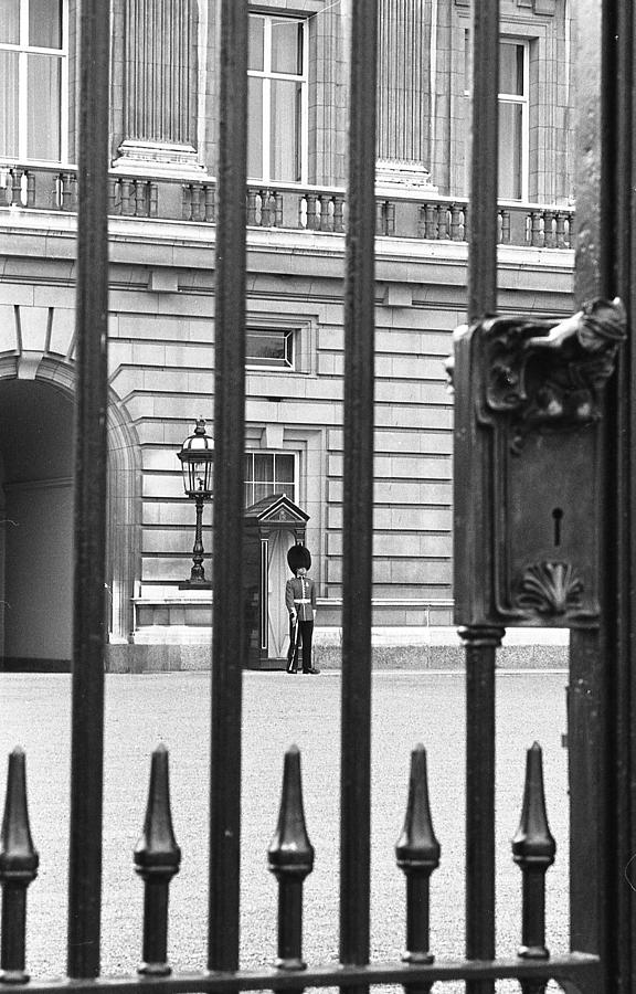 Buckingham Guard Photograph by Nancy Clendaniel