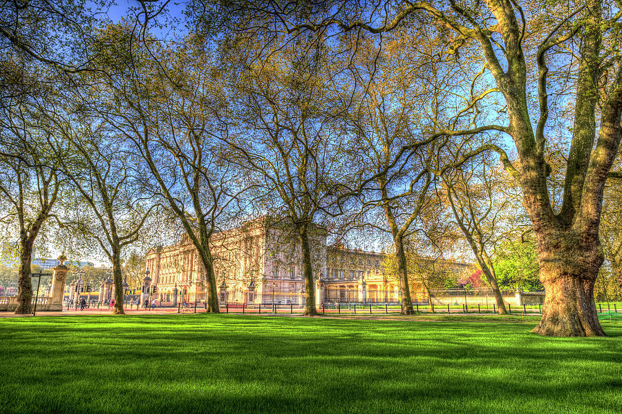 Buckingham Palace Through The Trees Photograph by David Pyatt - Fine ...