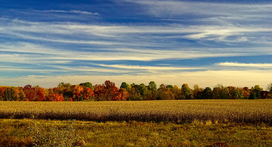 Bucks County Farm in Autumn Photograph by William Jobes