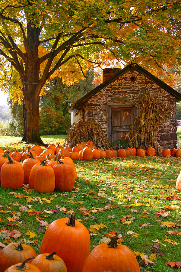 Bucks County in the Fall Photograph by Scott Mahon - Fine Art America