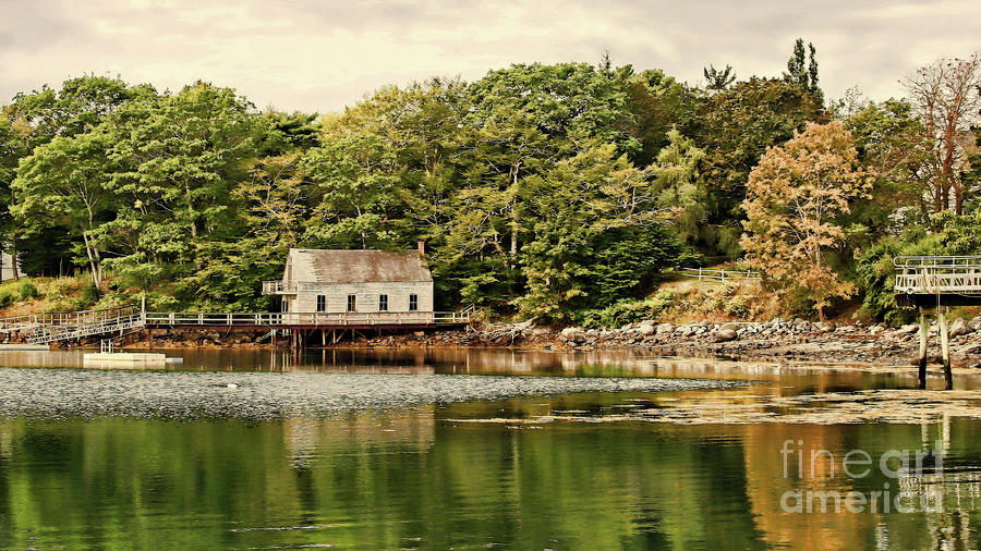 Bucks Harbor Photograph by Laura Mace Rand - Pixels