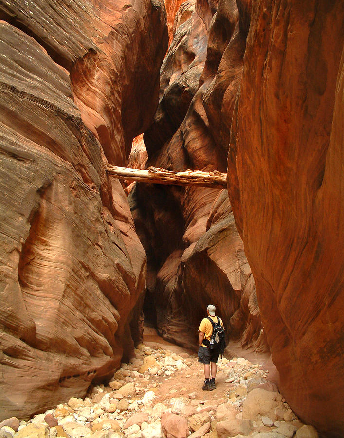 Buckskin Gulch Utah Photograph by Jessica Westermeyer