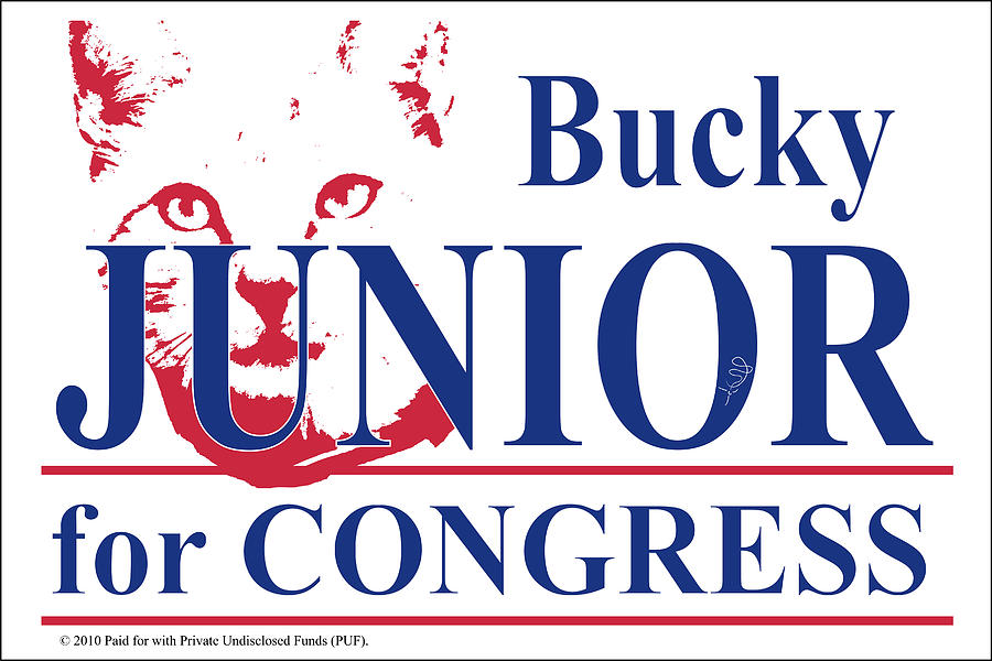 Congress Digital Art - Bucky Junior for Congress by Donna Zoll