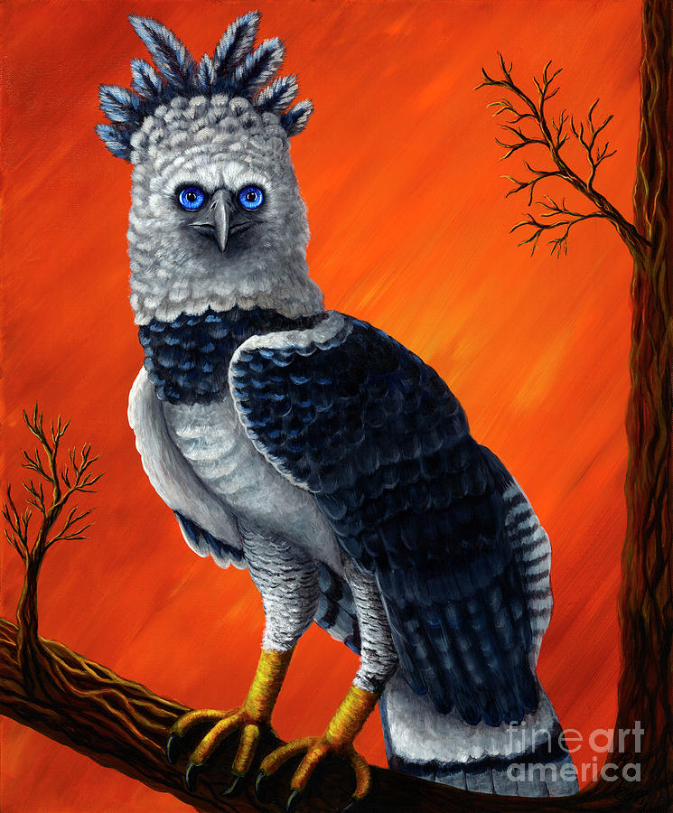 Bucky's Cousin by Rebecca Parker Bucky's Cousin by Rebecca Parker