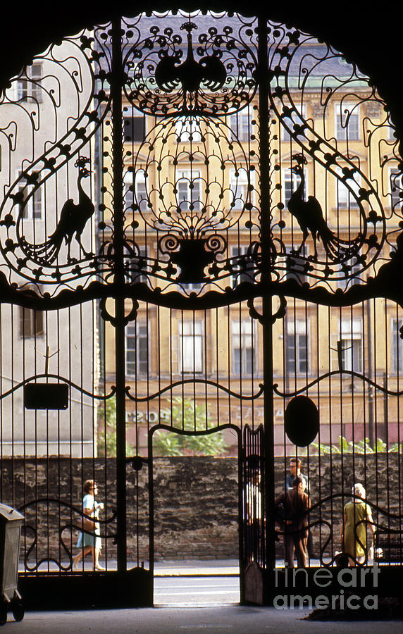 Budapest Art Nouveau Photograph by Erik Falkensteen