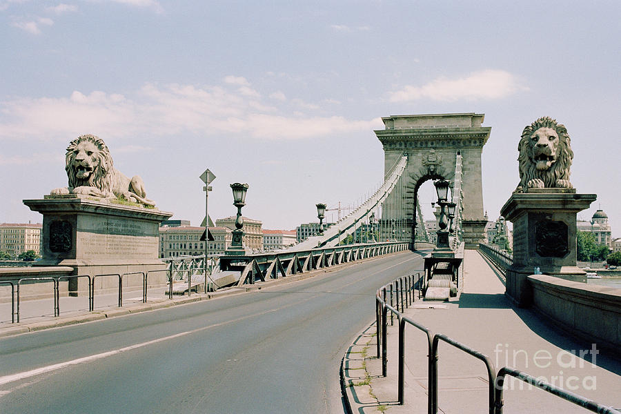 Lion Photograph - Budapest Chain Bridge by Dean Harte