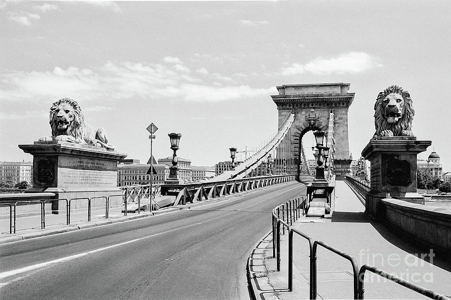 Budapest Chain Bridge in Black and White Photograph by Dean Harte