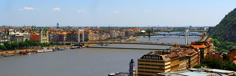 Budapest Elizabeth Bridge Photograph by C H Apperson