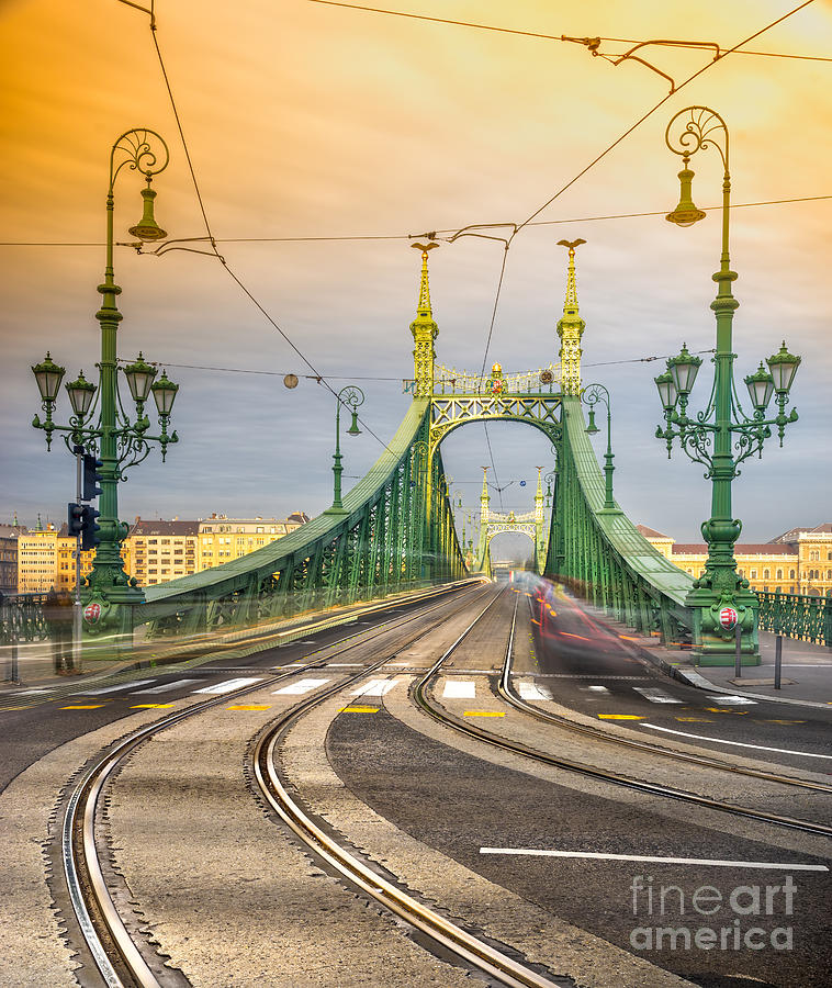 Budapest - Liberty Bridge Photograph by Luciano Mortula