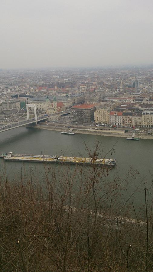 Budapest Photograph by Moshe Harboun