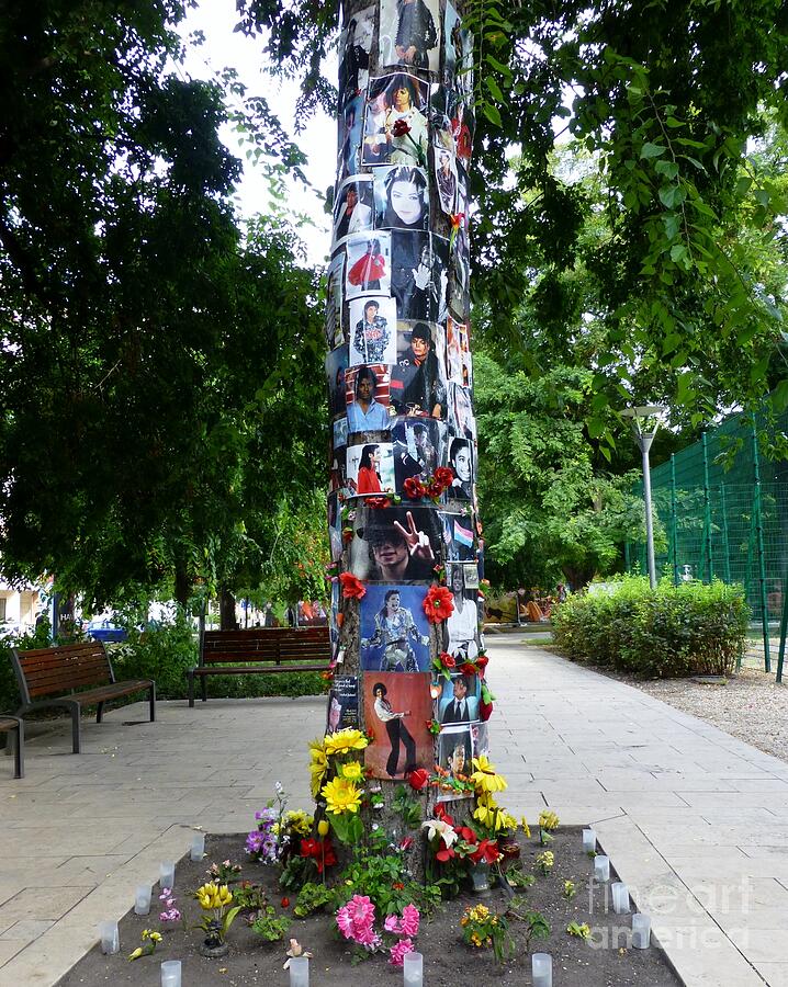 Budapests Michael Jackson Memorial Tree Photograph by Barbie Corbett-Newmin