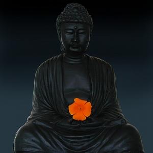 Buddah Photograph - Budda Blossom by Richard Nodine Buddah Photograph - Budda Blossom by Richard Nodine