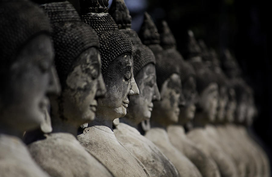 Buddah Statues in a line Photograph by Gary Hughes