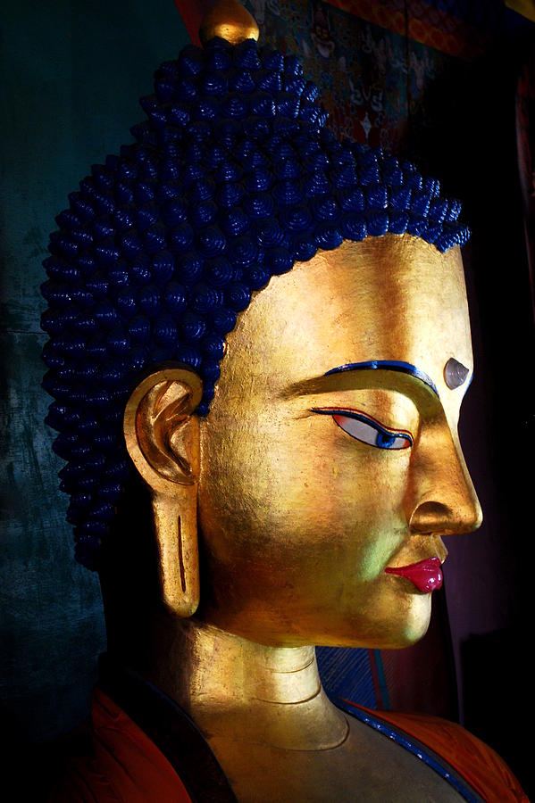 Buddha 2 Photograph by Bindu Viswanathan