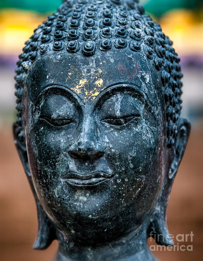 Buddha Photograph by Adrian Evans