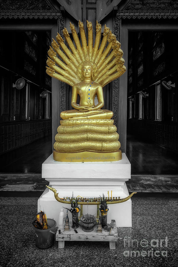 Buddha And Naga Photograph by Adrian Evans