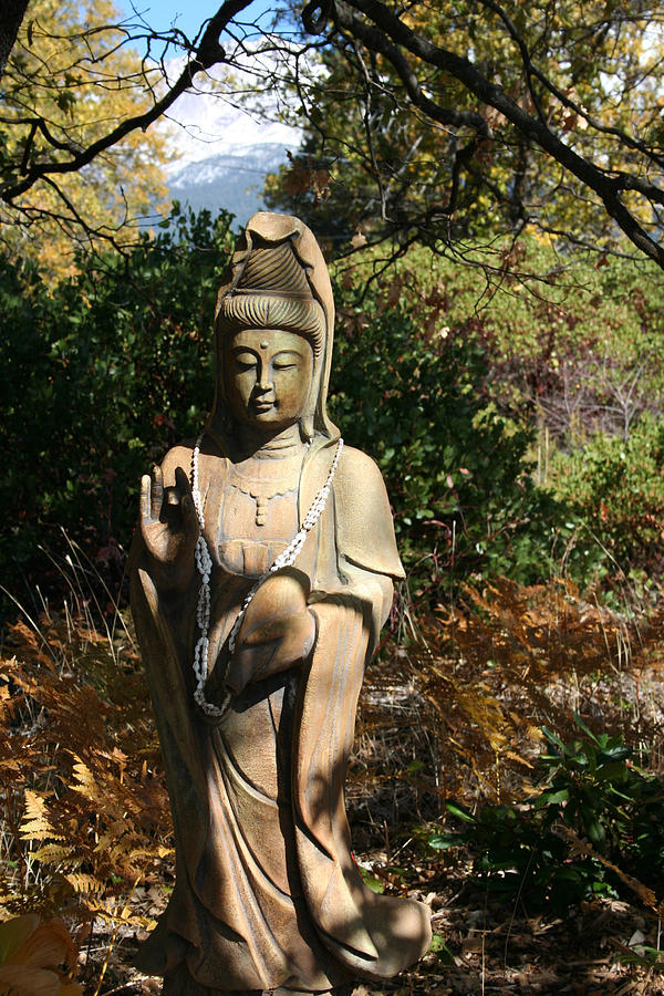 Buddha at Shasta Photograph by Holly Ethan