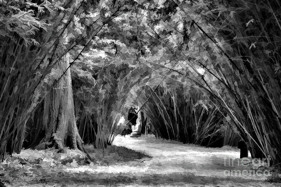 Buddha Black White Landscape Path  Photograph by Chuck Kuhn