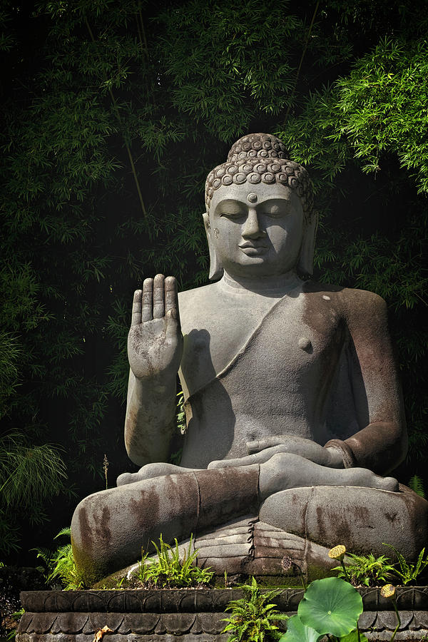 Buddha Photograph by Catherine Reading | Fine Art America