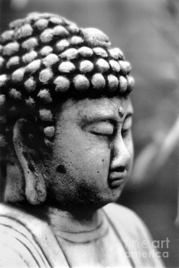 Buddha Photograph by Eileen Gayle