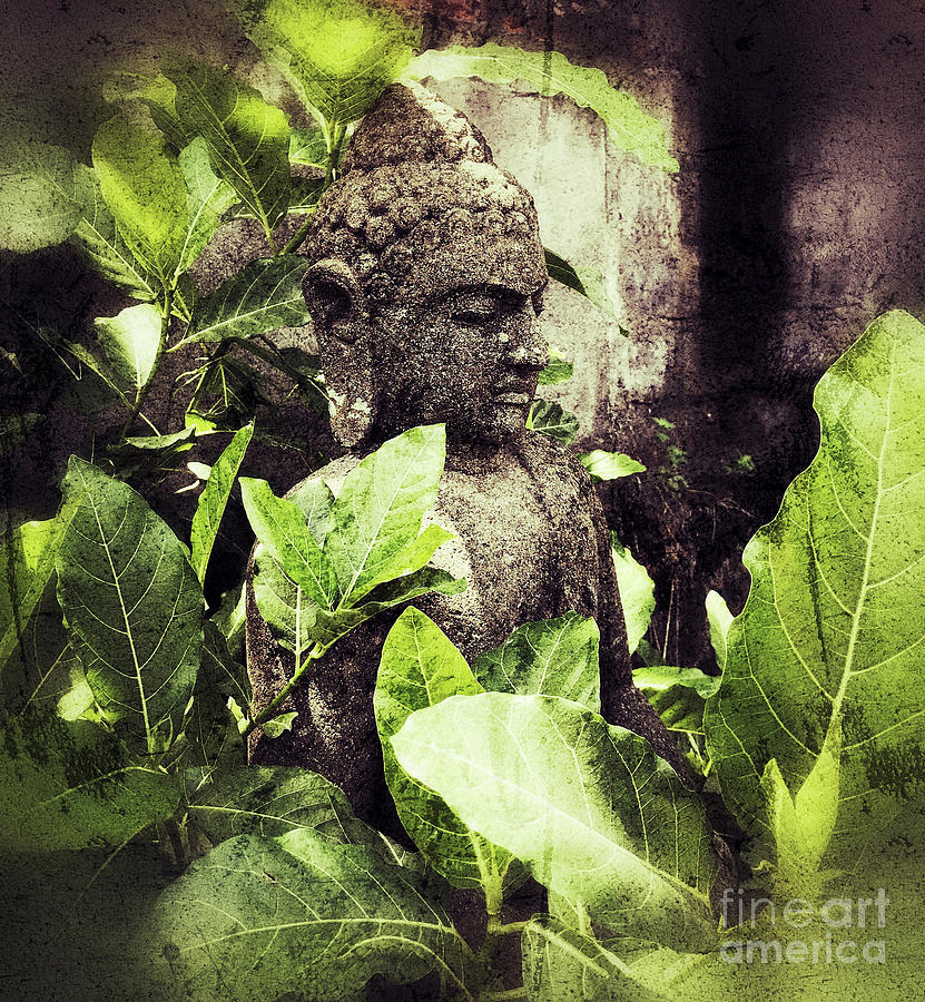 Buddha Photograph - Buddha embraced by mother nature by Fitzroy Barrett