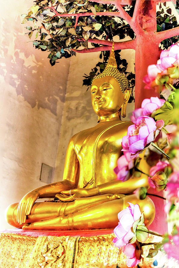  Buddha  Flowers  Photograph by Bryan Moore
