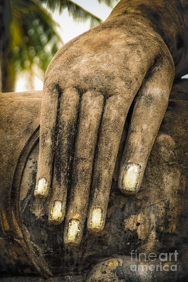 Buddha Photograph - Buddha Hand by Adrian Evans