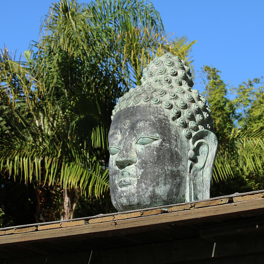 Buddha Photograph - Buddha Head by Art Block Collections