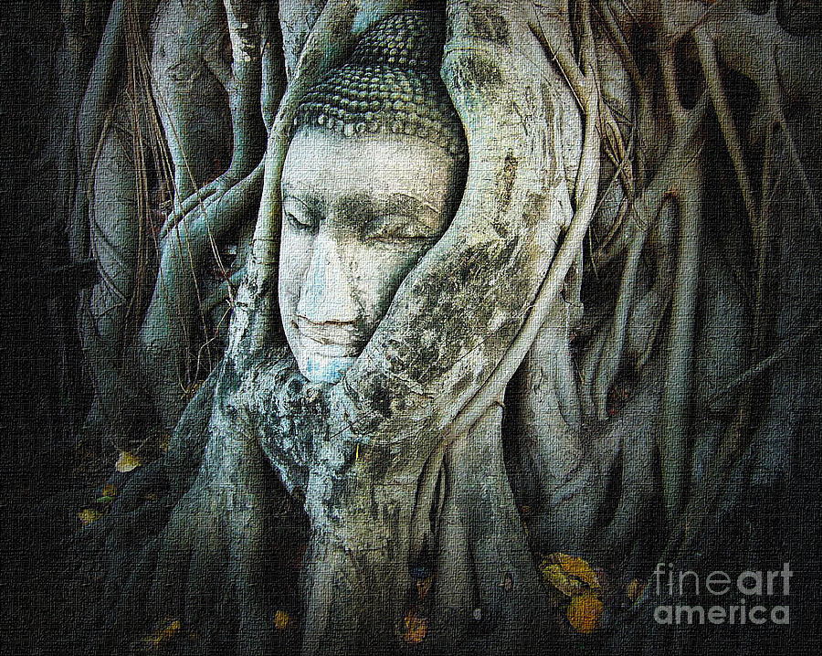 Buddha Head Photograph by Eena Bo