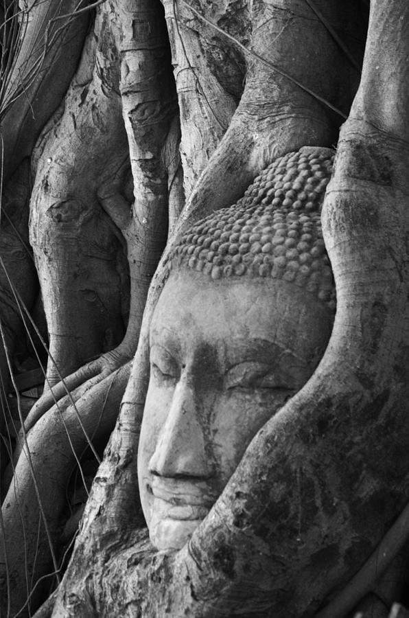 Buddha Photograph - Buddha head by Jessica Rose