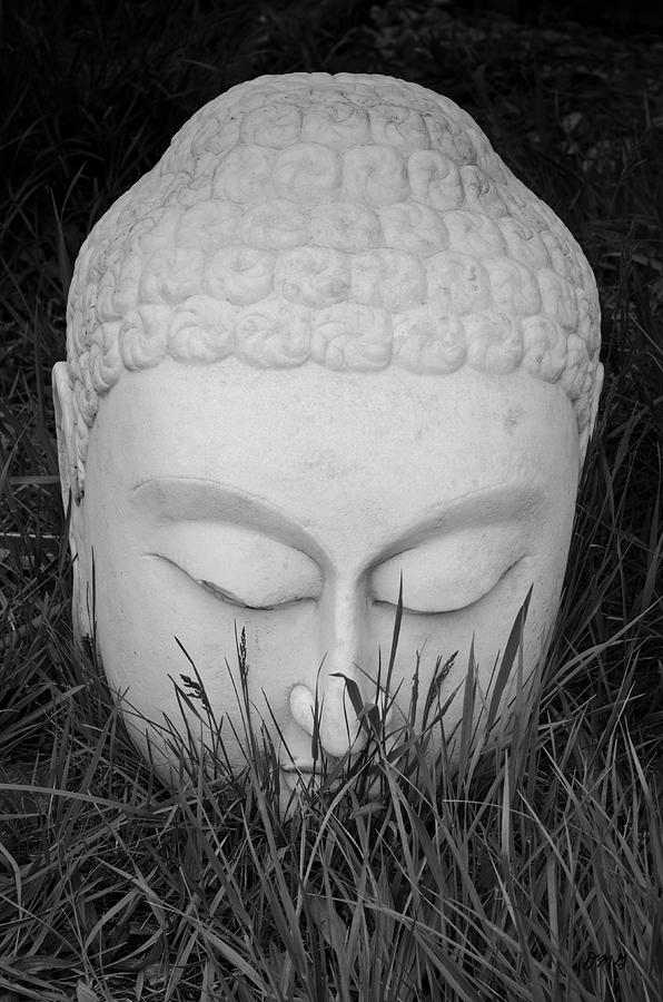 Buddha I Photograph by David Gordon