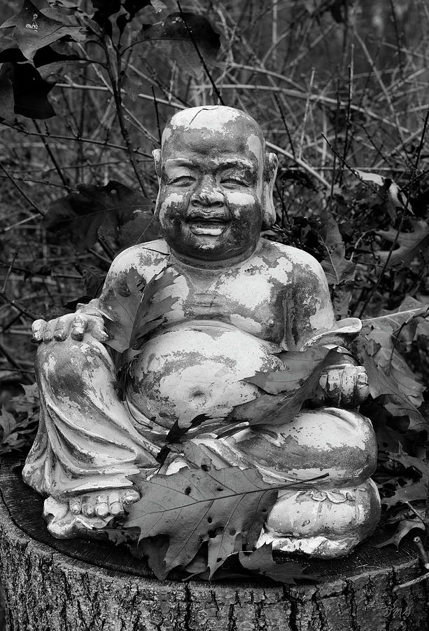 Buddha III BW Photograph by David Gordon