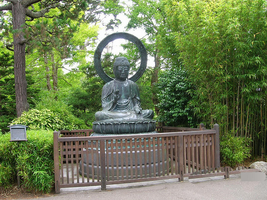 Buddha in Golden Gate Park Photograph by Carolyn Donnell