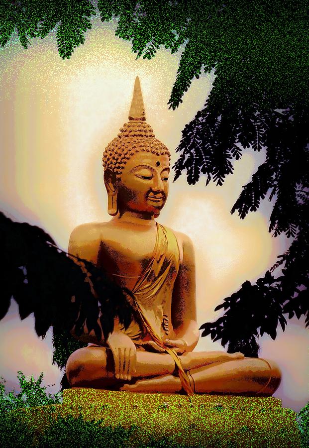 Buddha In The Clearing Photograph