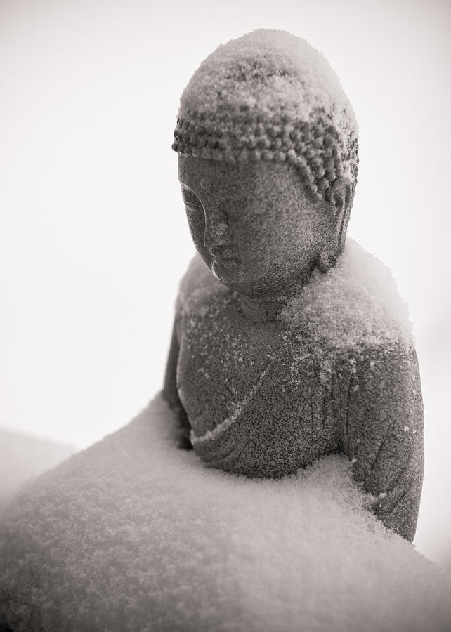 Buddha in the Snow 2 Photograph by Edward Myers